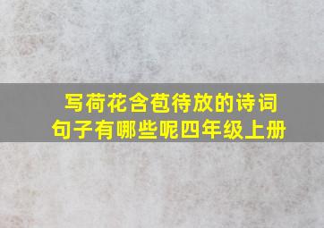 写荷花含苞待放的诗词句子有哪些呢四年级上册