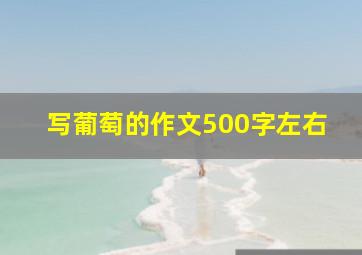 写葡萄的作文500字左右