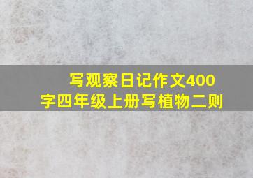 写观察日记作文400字四年级上册写植物二则