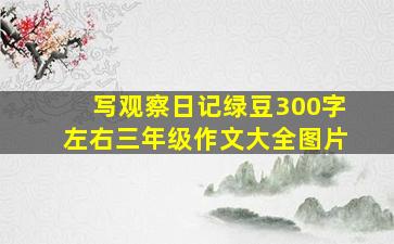 写观察日记绿豆300字左右三年级作文大全图片