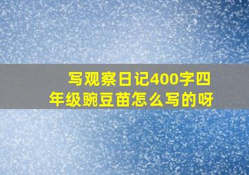 写观察日记400字四年级豌豆苗怎么写的呀