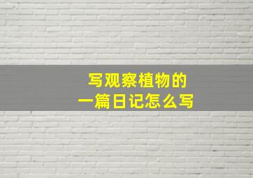 写观察植物的一篇日记怎么写