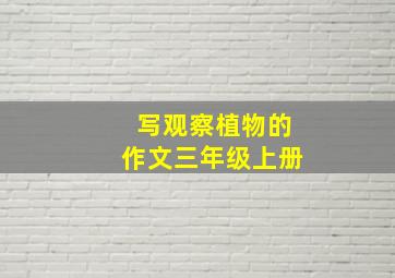 写观察植物的作文三年级上册