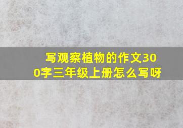 写观察植物的作文300字三年级上册怎么写呀