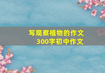 写观察植物的作文300字初中作文