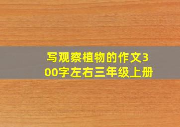 写观察植物的作文300字左右三年级上册