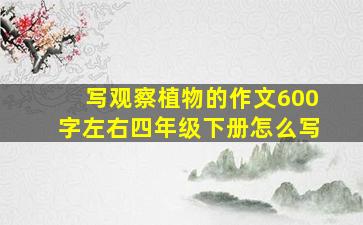 写观察植物的作文600字左右四年级下册怎么写