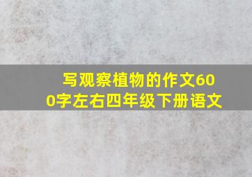 写观察植物的作文600字左右四年级下册语文