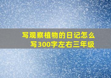 写观察植物的日记怎么写300字左右三年级