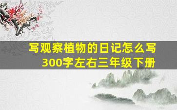 写观察植物的日记怎么写300字左右三年级下册