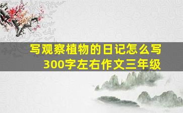 写观察植物的日记怎么写300字左右作文三年级