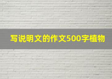 写说明文的作文500字植物