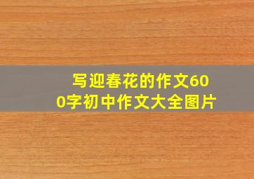 写迎春花的作文600字初中作文大全图片