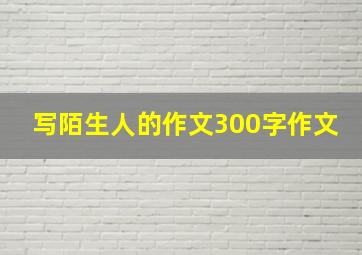 写陌生人的作文300字作文