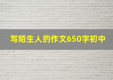 写陌生人的作文650字初中