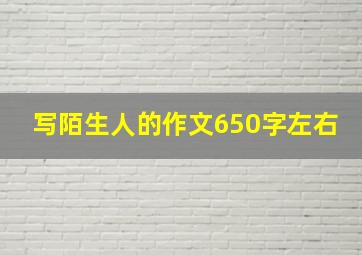 写陌生人的作文650字左右