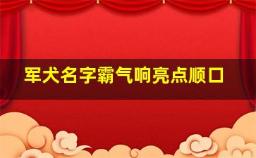 军犬名字霸气响亮点顺口