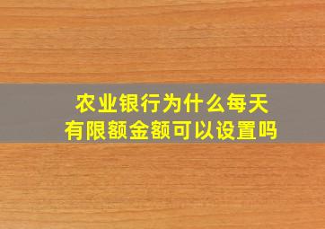 农业银行为什么每天有限额金额可以设置吗