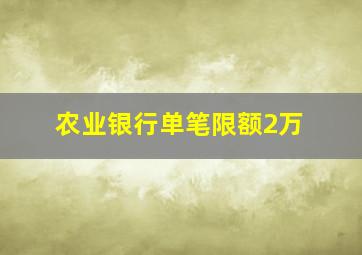 农业银行单笔限额2万