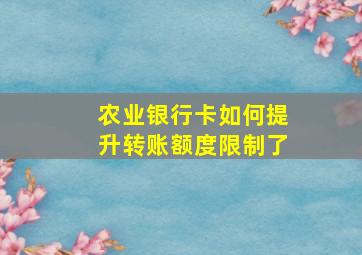 农业银行卡如何提升转账额度限制了