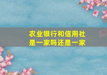 农业银行和信用社是一家吗还是一家