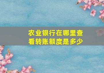 农业银行在哪里查看转账额度是多少