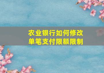 农业银行如何修改单笔支付限额限制