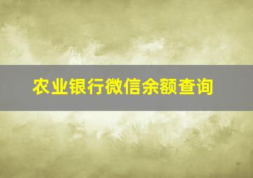 农业银行微信余额查询