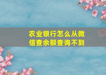 农业银行怎么从微信查余额查询不到