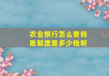 农业银行怎么查转账额度是多少钱啊