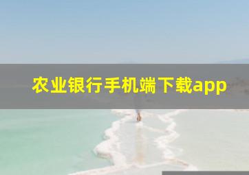 农业银行手机端下载app