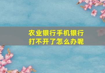 农业银行手机银行打不开了怎么办呢