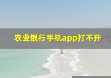 农业银行手机app打不开