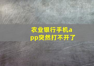 农业银行手机app突然打不开了