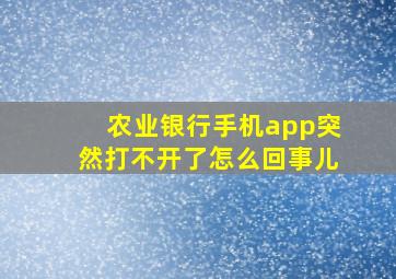 农业银行手机app突然打不开了怎么回事儿