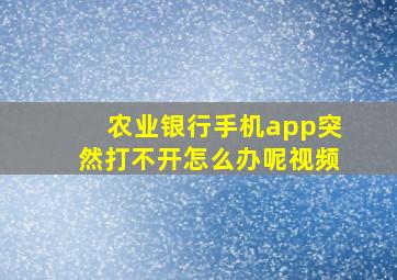 农业银行手机app突然打不开怎么办呢视频