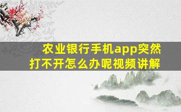 农业银行手机app突然打不开怎么办呢视频讲解