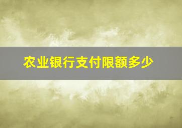 农业银行支付限额多少