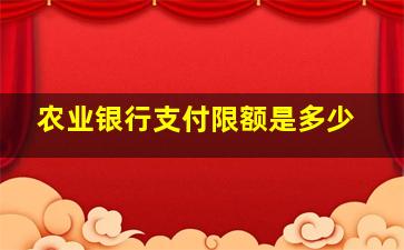 农业银行支付限额是多少