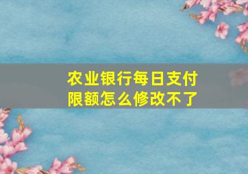 农业银行每日支付限额怎么修改不了