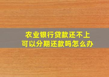 农业银行贷款还不上可以分期还款吗怎么办