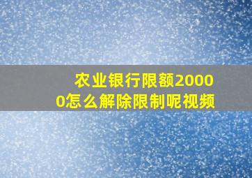 农业银行限额20000怎么解除限制呢视频