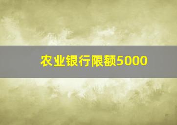 农业银行限额5000