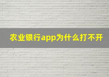 农业银行app为什么打不开