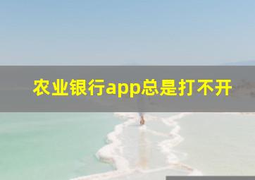 农业银行app总是打不开