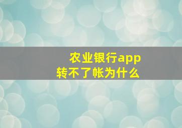 农业银行app转不了帐为什么