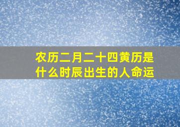 农历二月二十四黄历是什么时辰出生的人命运