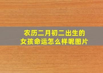 农历二月初二出生的女孩命运怎么样呢图片