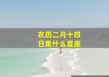 农历二月十四日是什么星座