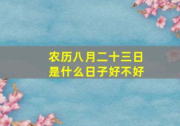 农历八月二十三日是什么日子好不好